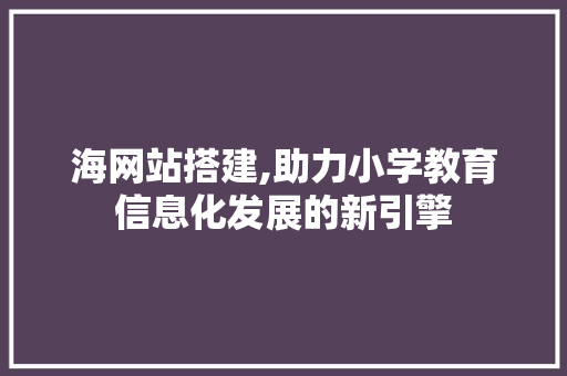 海网站搭建,助力小学教育信息化发展的新引擎