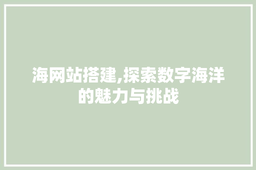 海网站搭建,探索数字海洋的魅力与挑战