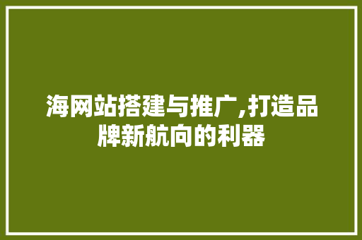 海网站搭建与推广,打造品牌新航向的利器