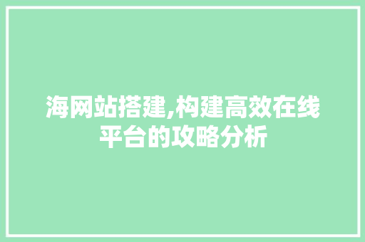 海网站搭建,构建高效在线平台的攻略分析