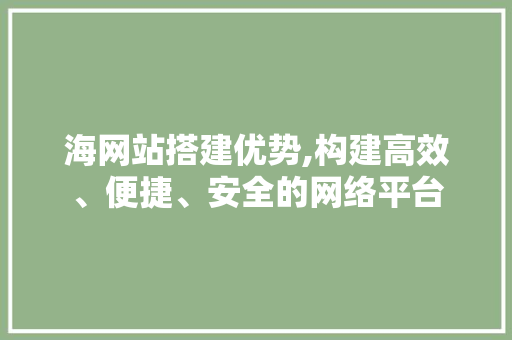 海网站搭建优势,构建高效、便捷、安全的网络平台