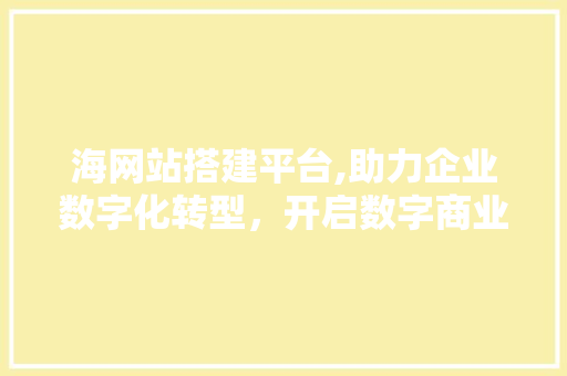 海网站搭建平台,助力企业数字化转型，开启数字商业新时代