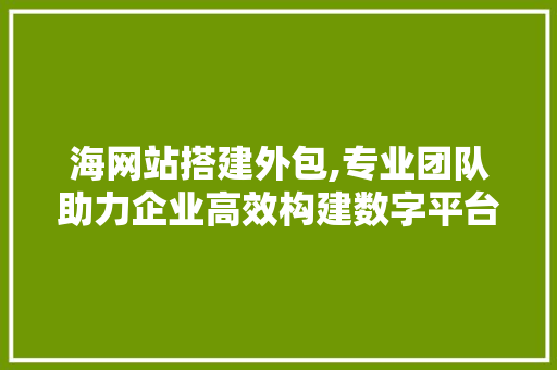 海网站搭建外包,专业团队助力企业高效构建数字平台