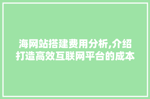 海网站搭建费用分析,介绍打造高效互联网平台的成本秘密