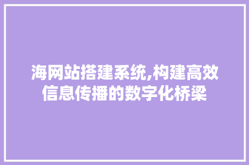 海网站搭建系统,构建高效信息传播的数字化桥梁