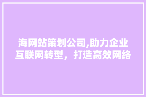 海网站策划公司,助力企业互联网转型，打造高效网络品牌形象