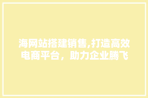 海网站搭建销售,打造高效电商平台，助力企业腾飞