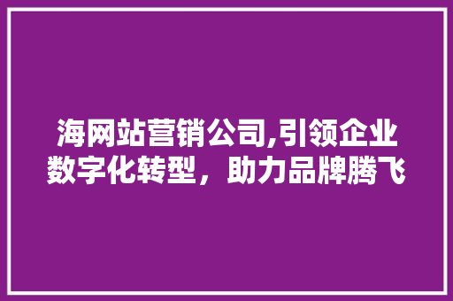 海网站营销公司,引领企业数字化转型，助力品牌腾飞