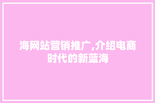 海网站营销推广,介绍电商时代的新蓝海