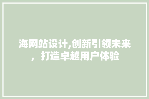 海网站设计,创新引领未来，打造卓越用户体验