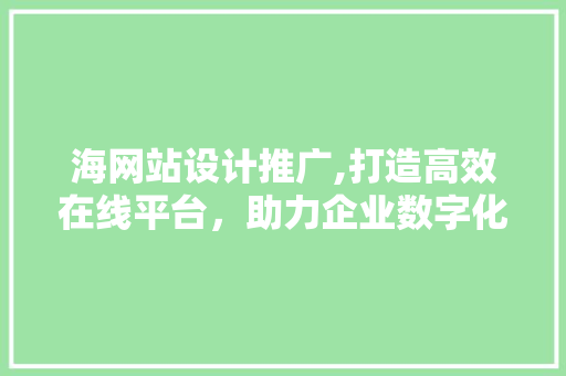 海网站设计推广,打造高效在线平台，助力企业数字化转型