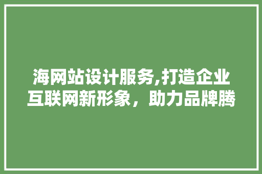 海网站设计服务,打造企业互联网新形象，助力品牌腾飞