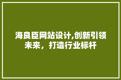 海良臣网站设计,创新引领未来，打造行业标杆