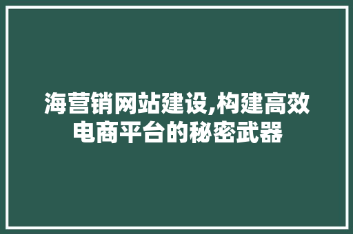 海营销网站建设,构建高效电商平台的秘密武器