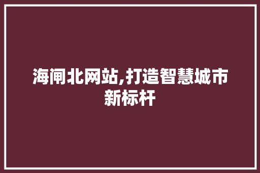 海闸北网站,打造智慧城市新标杆