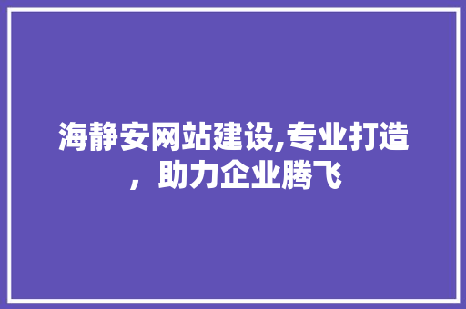 海静安网站建设,专业打造，助力企业腾飞