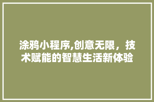 涂鸦小程序,创意无限，技术赋能的智慧生活新体验