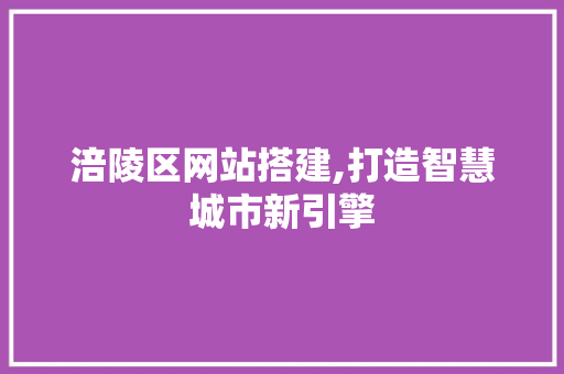 涪陵区网站搭建,打造智慧城市新引擎