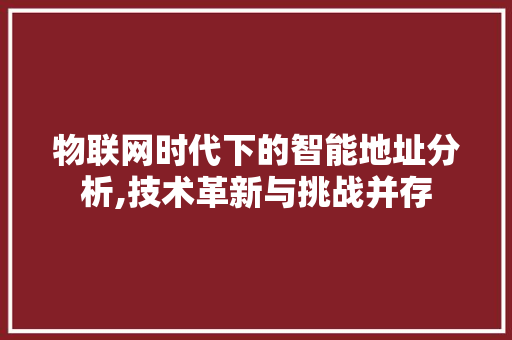 物联网时代下的智能地址分析,技术革新与挑战并存