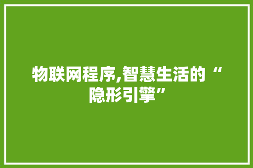物联网程序,智慧生活的“隐形引擎”