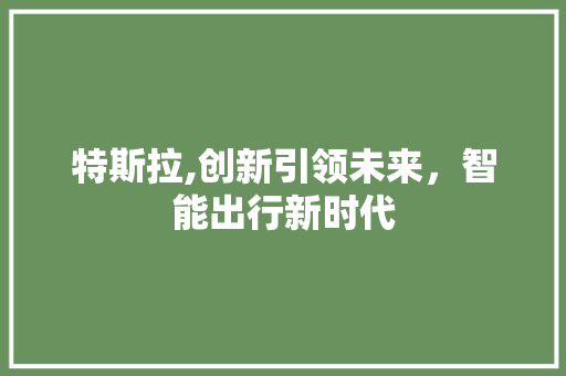 特斯拉,创新引领未来，智能出行新时代
