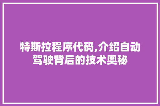特斯拉程序代码,介绍自动驾驶背后的技术奥秘