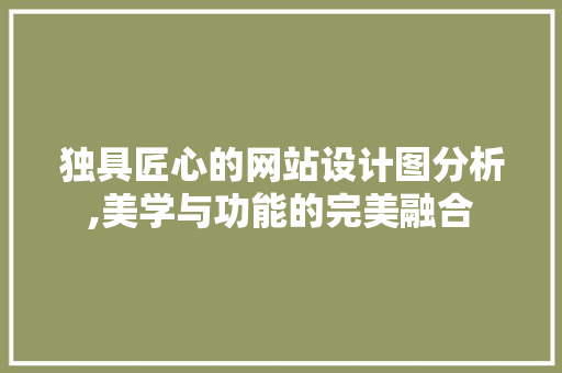 独具匠心的网站设计图分析,美学与功能的完美融合