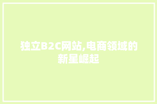 独立B2C网站,电商领域的新星崛起