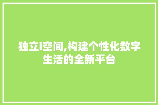 独立i空间,构建个性化数字生活的全新平台