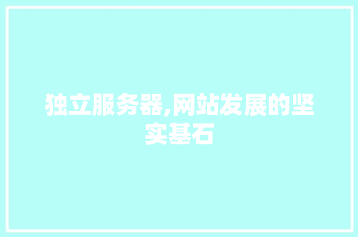 独立服务器,网站发展的坚实基石