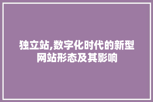 独立站,数字化时代的新型网站形态及其影响