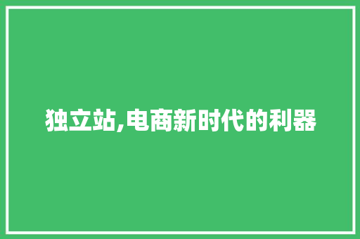 独立站,电商新时代的利器