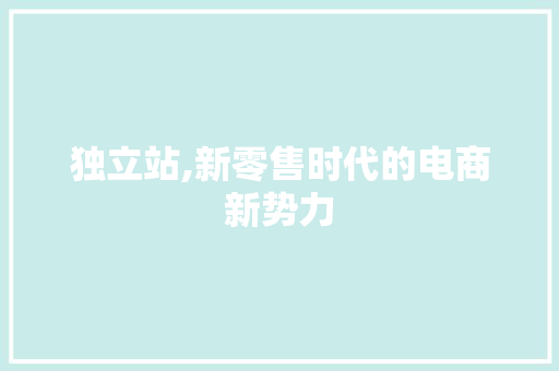 独立站,新零售时代的电商新势力
