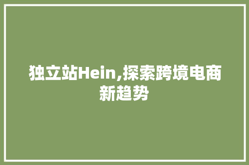 独立站Hein,探索跨境电商新趋势