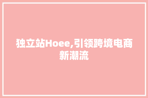 独立站Hoee,引领跨境电商新潮流