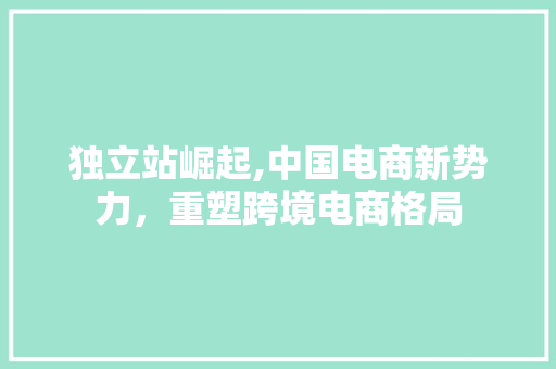 独立站崛起,中国电商新势力，重塑跨境电商格局