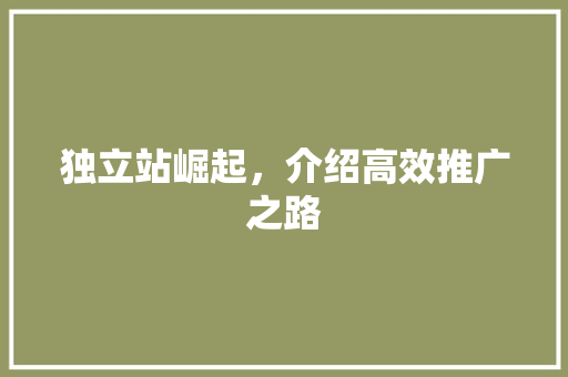 独立站崛起，介绍高效推广之路
