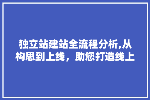 独立站建站全流程分析,从构思到上线，助您打造线上商业帝国