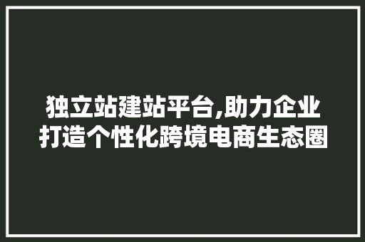 独立站建站平台,助力企业打造个性化跨境电商生态圈