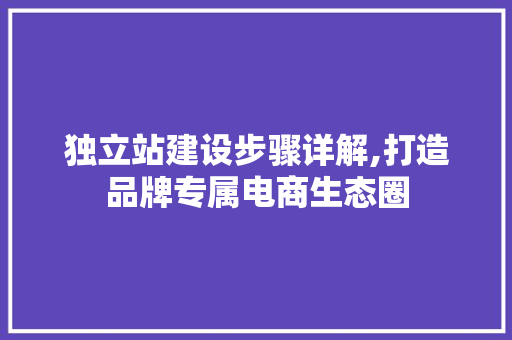 独立站建设步骤详解,打造品牌专属电商生态圈