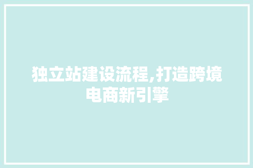 独立站建设流程,打造跨境电商新引擎