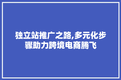 独立站推广之路,多元化步骤助力跨境电商腾飞