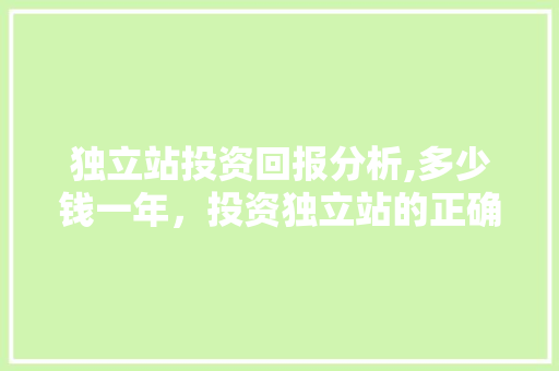独立站投资回报分析,多少钱一年，投资独立站的正确姿势