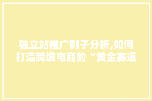 独立站推广例子分析,如何打造跨境电商的“黄金赛道”