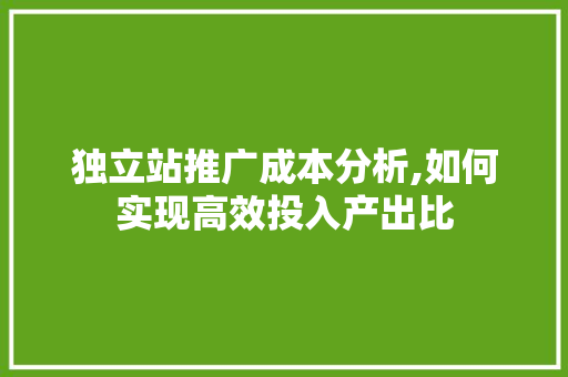 独立站推广成本分析,如何实现高效投入产出比