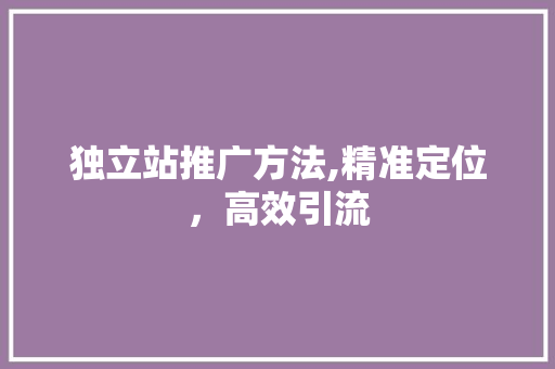独立站推广方法,精准定位，高效引流