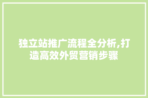 独立站推广流程全分析,打造高效外贸营销步骤