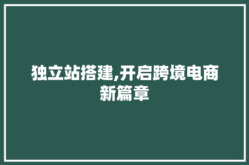 独立站搭建,开启跨境电商新篇章