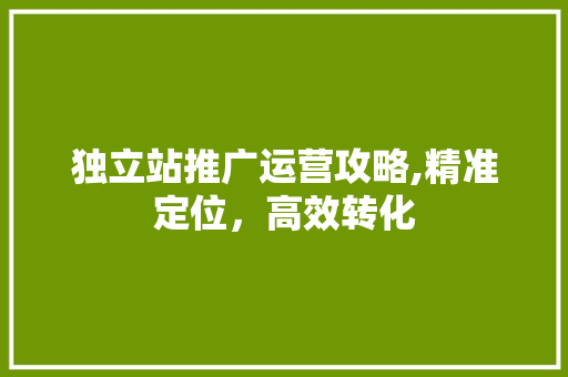 独立站推广运营攻略,精准定位，高效转化