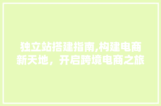 独立站搭建指南,构建电商新天地，开启跨境电商之旅